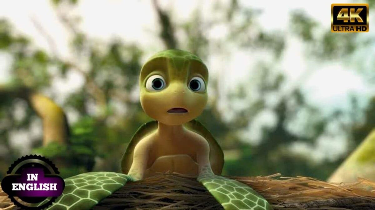 A turtle Tale 2012 Film Explained