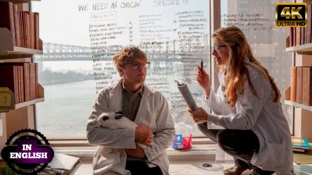 I origins